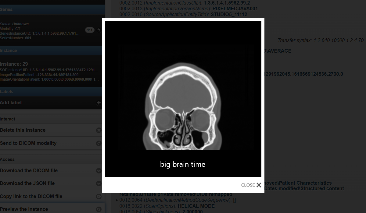 Orthanc 1.12.9 User Impersonation