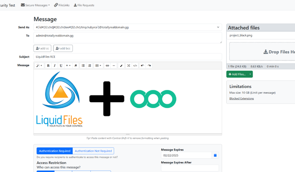 LiquidFiles Vulnerabilities: From Discovery to Disclosure